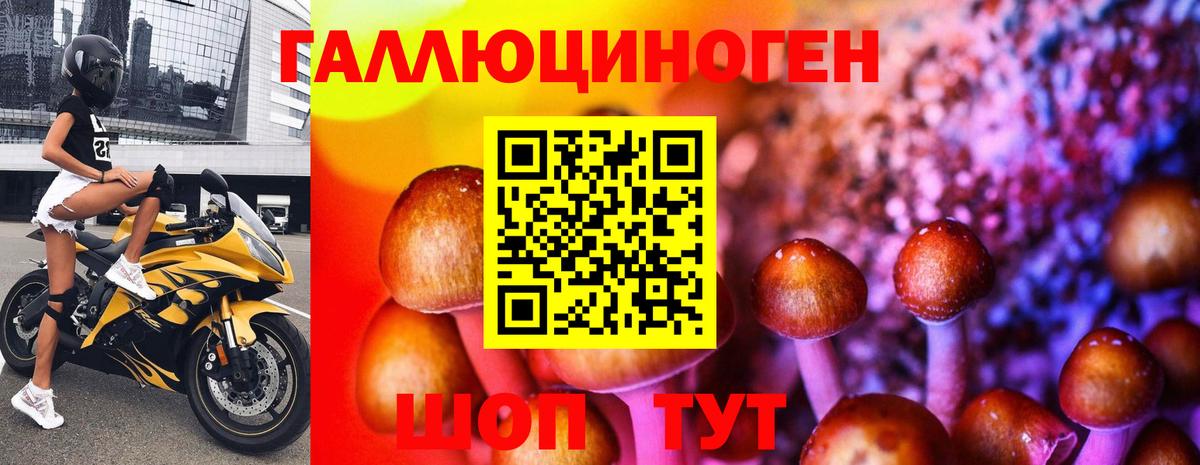 Галлюциногенные грибы MAGIC MUSHROOMS  Вход с VPN  Каменск-Уральский 